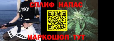 прущие грибы Тверь