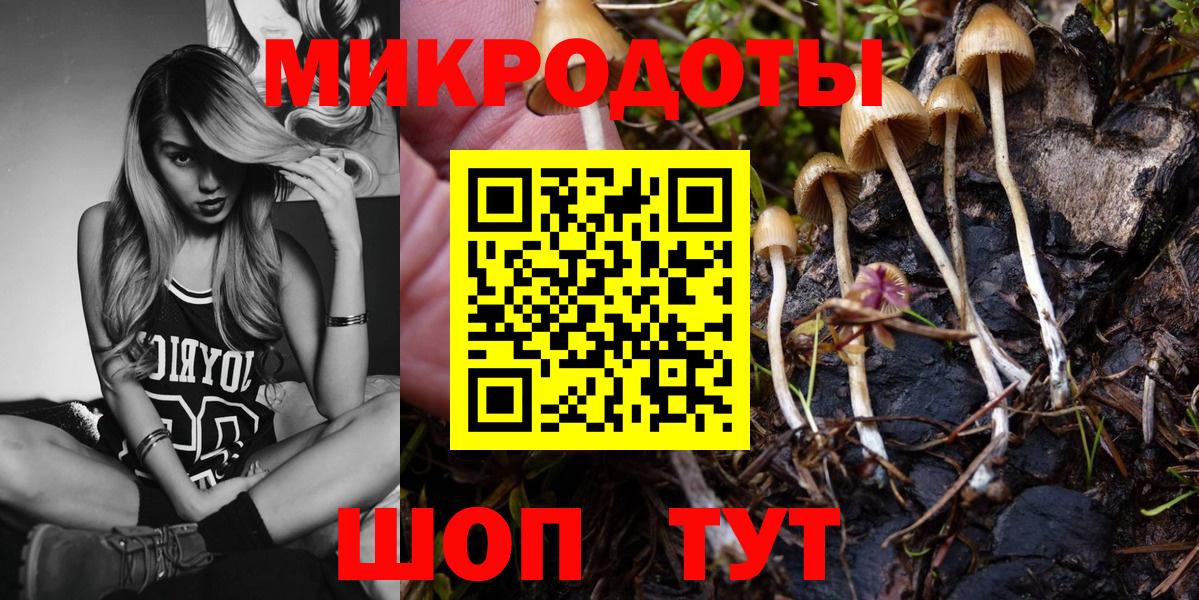 Галлюциногенные грибы мицелий Мелеуз