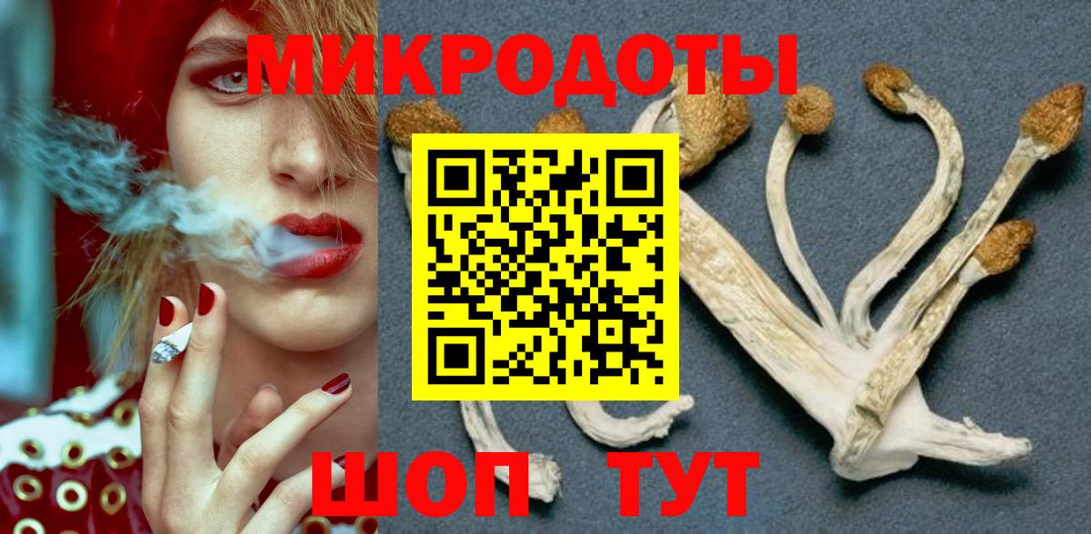 Галлюциногенные грибы Psilocybine cubensis  Вход с VPN  Мелеуз 